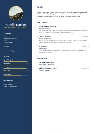 Modern Professional CV